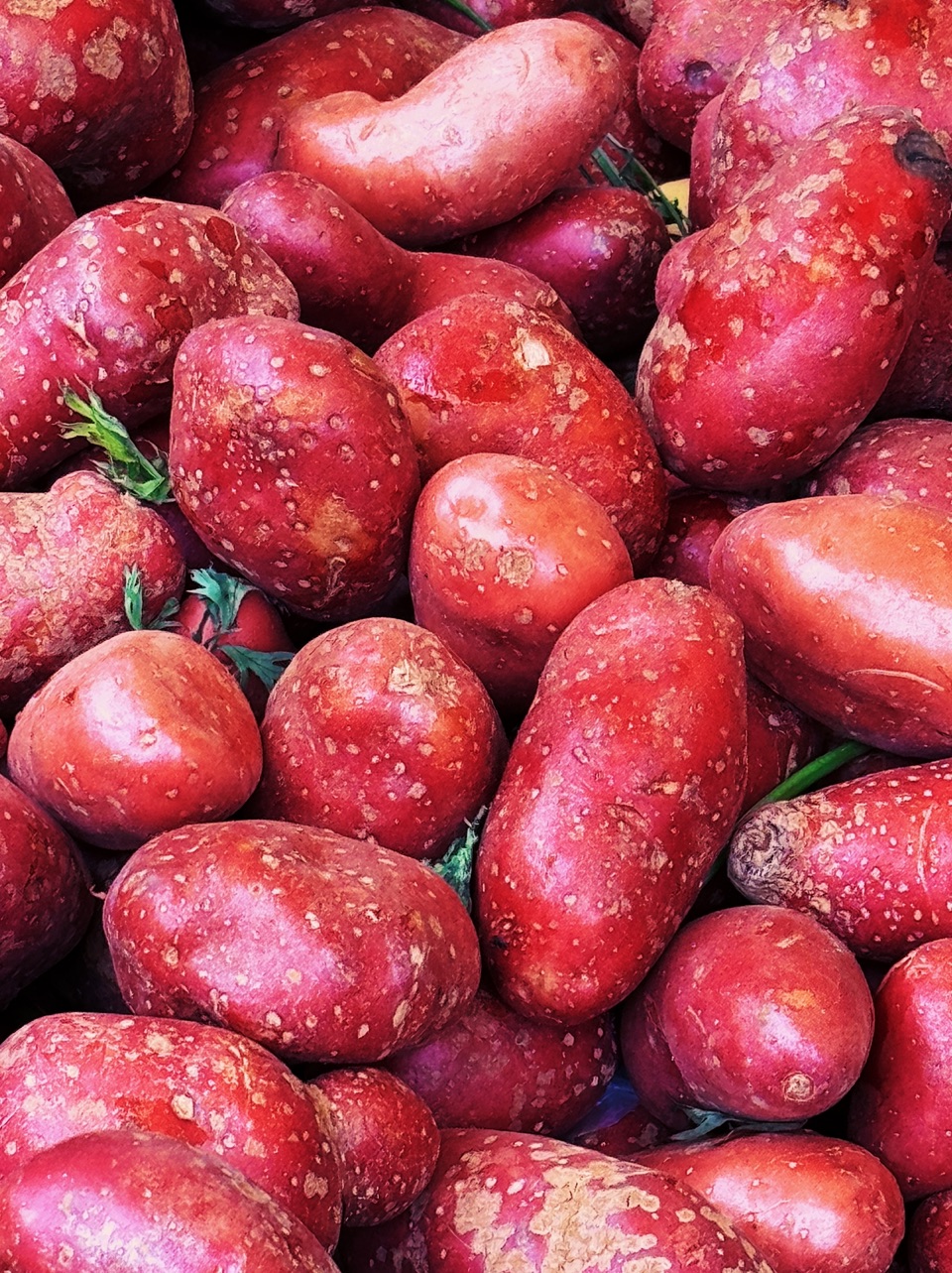 Veggies and tubers